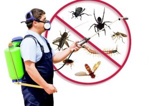 Pest Control in Avon Park FL