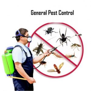 Pest Control in Fort Pierce North FL